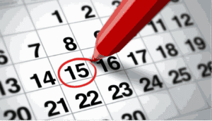 fechas importantes fp 2025